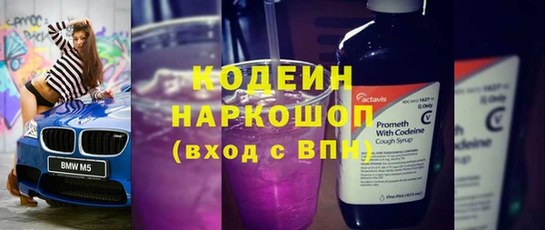 прущие грибы Балабаново
