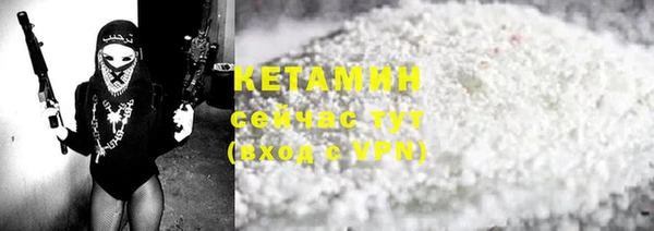 крисы Няндома