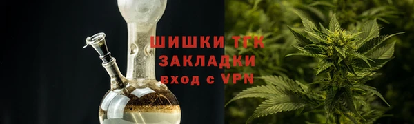 прущие грибы Балабаново