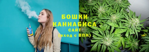 прущие грибы Балабаново