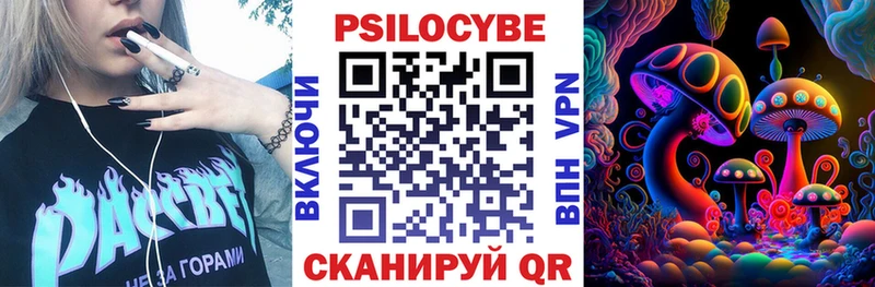 Псилоцибиновые грибы Cubensis  Буйнакск 